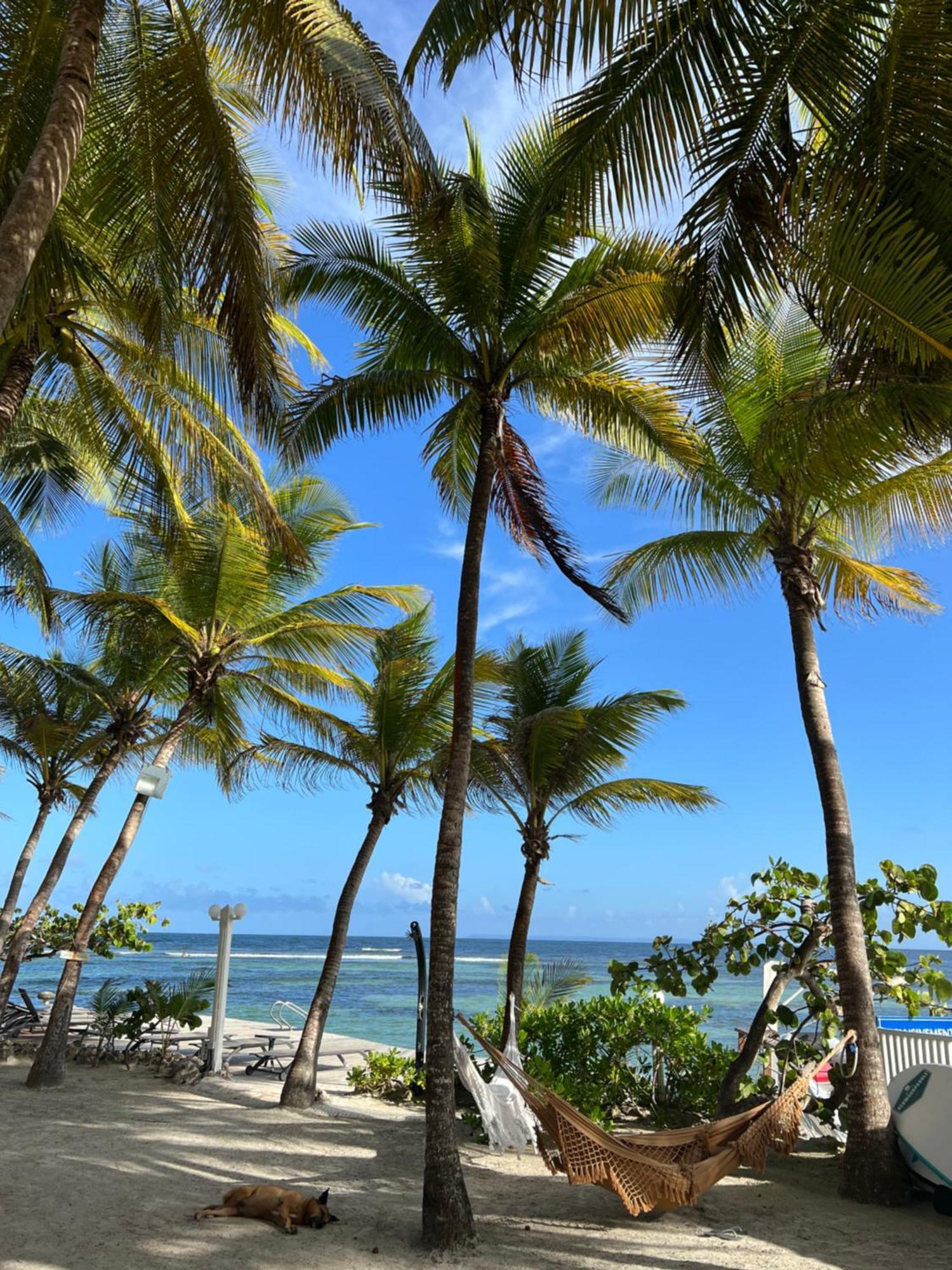 Guadeloupe- Saint-Francois- Residence Anse Des Rochers - Appartement Quart De Villa Etage - Vue Mer- 4 Personnes - Lit Bebe Sur Demande - Citerne Et Wifi Prives -Animaux Ok-Acces Plage Direct -Apnee Bien-Etre Experience Sur Demande Avec Instructeur A Zewnętrze zdjęcie