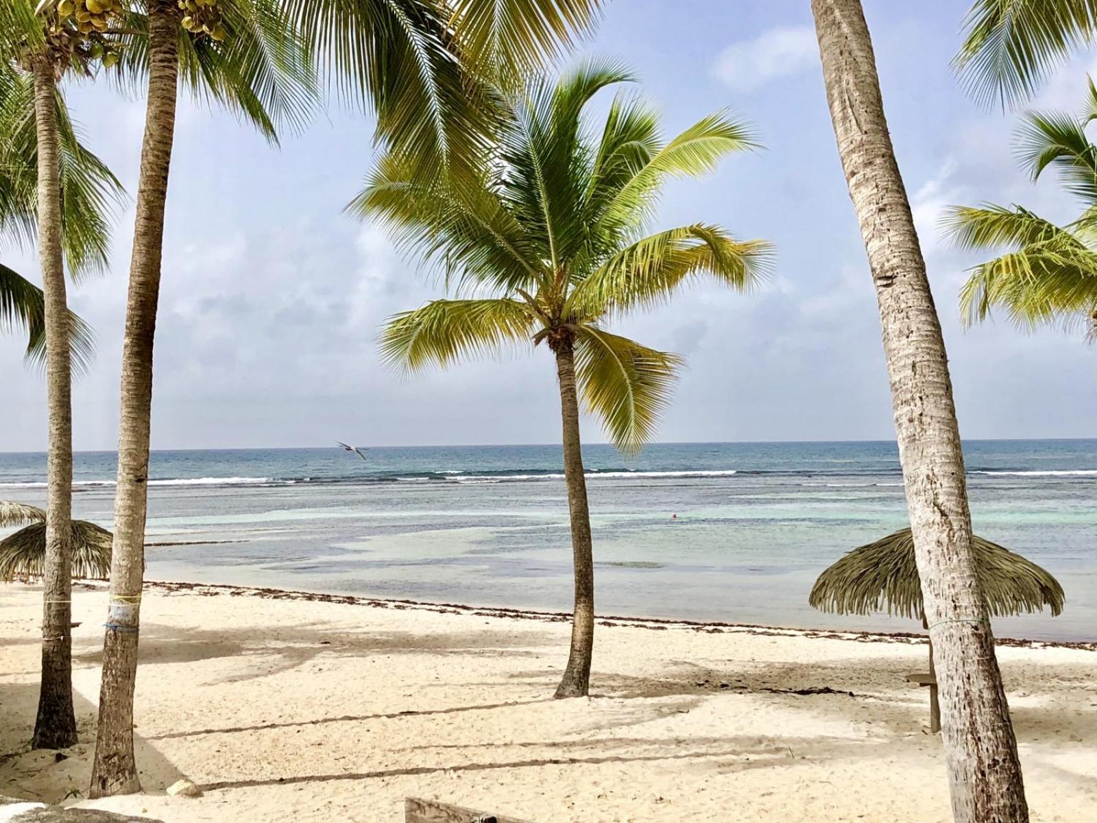 Guadeloupe- Saint-Francois- Residence Anse Des Rochers - Appartement Quart De Villa Etage - Vue Mer- 4 Personnes - Lit Bebe Sur Demande - Citerne Et Wifi Prives -Animaux Ok-Acces Plage Direct -Apnee Bien-Etre Experience Sur Demande Avec Instructeur A Zewnętrze zdjęcie